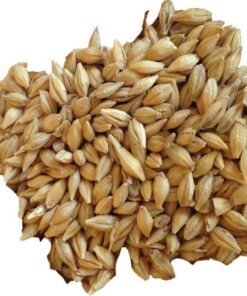 Buy Barley online