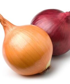 Buy Fresh Onion online