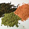 Buy Lentil online