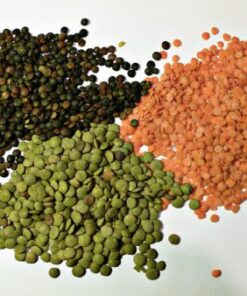 Buy Lentil online