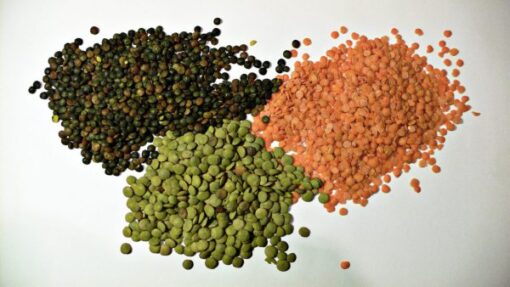 Buy Lentil online