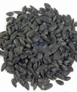 Buy Sunflower seed online