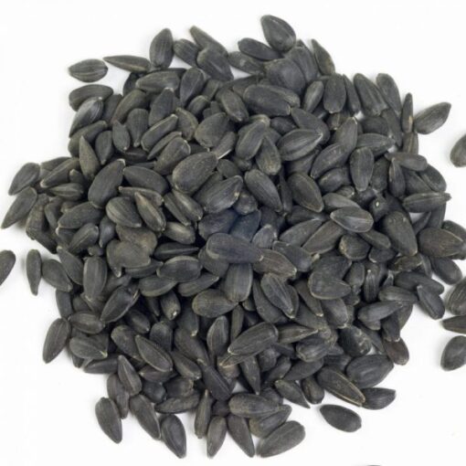 Buy Sunflower seed online