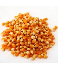 Buy Yellow Corn online